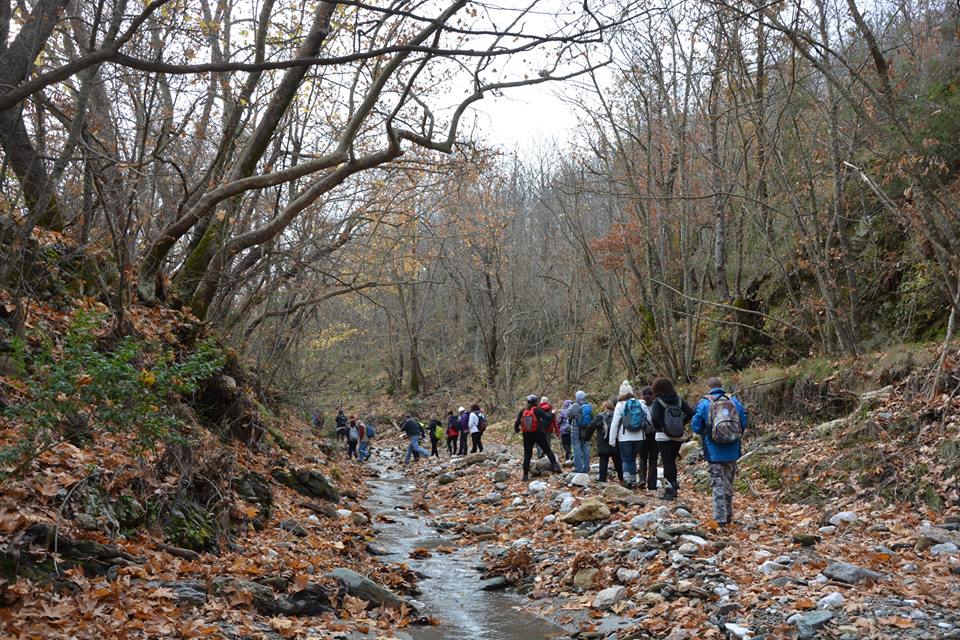 Οι φυσιολάτρες του Ευκλή εξερεύνησαν τον Πάρνωνα και τα Άνω Δολιανά. 12