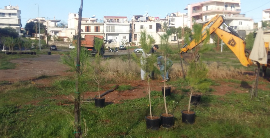 Δενδροφύτευση από τον Δήμο Καλαμάτας στο Φραγκοπήγαδο