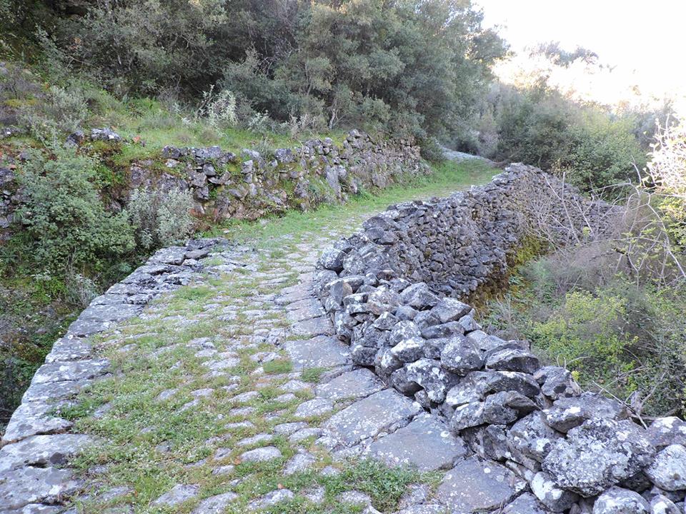 Έντονη δράση για τους φυσιολάτρες - πεζοπόρους του ''Ευκλή'' τον Μάρτιο. 16