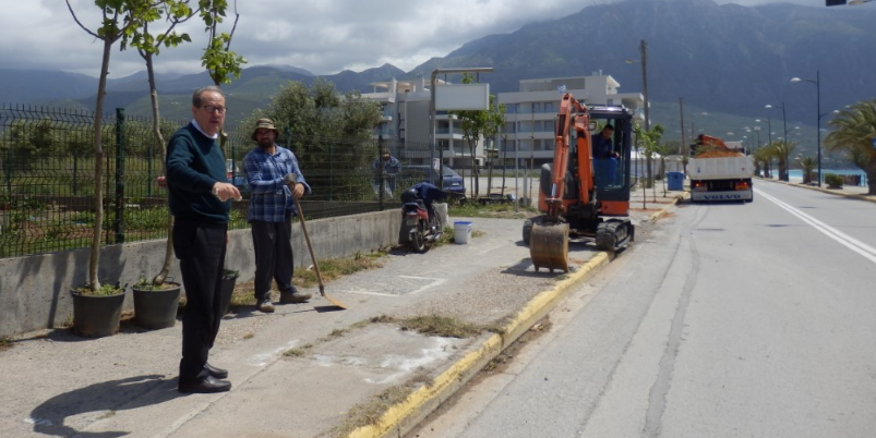 Καλαμάτα: Φυτεύσεις δένδρων στο βόρειο πεζοδρόμιο της Ναυαρίνου 18