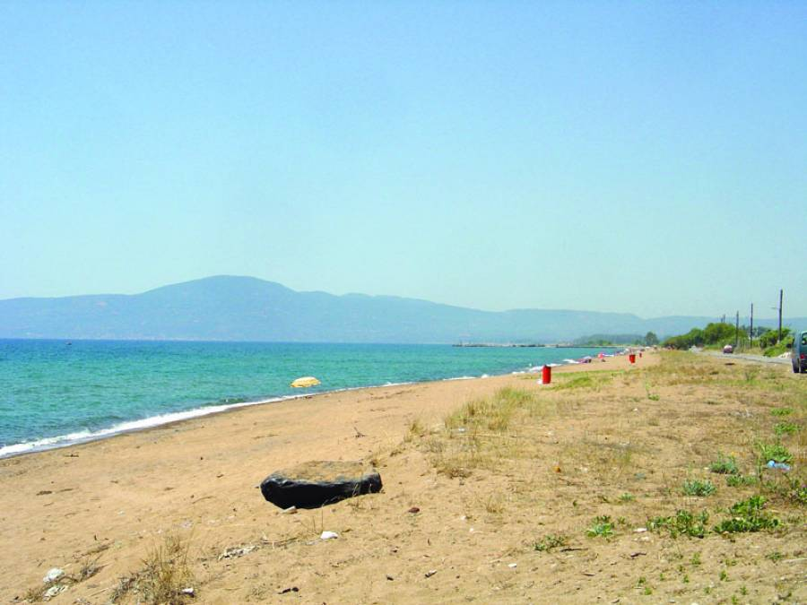 Παγκόσμια Ημέρα Περιβάλλοντος - εθελοντικός καθαρισμός της δυτικής παραλίας Καλαμάτας 49