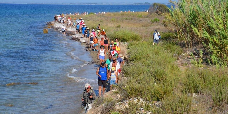 Οι πεζοπόροι του Ευκλή θα απολαύσουν την Πανσέληνο του Αυγούστου στο ''Μονοπάτι των Θαλασσοκρίνων'' 6