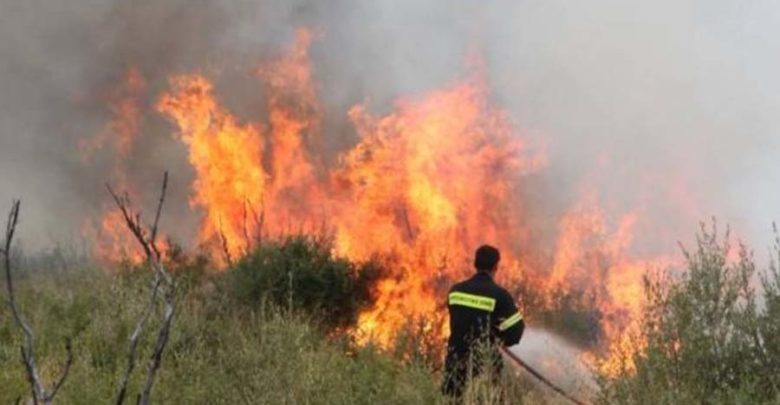 Σε εξέλιξη δύο φωτιές στη Μεσσηνία 30