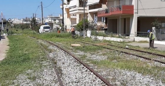 Καθαρισμός αυτοφυούς βλάστησης