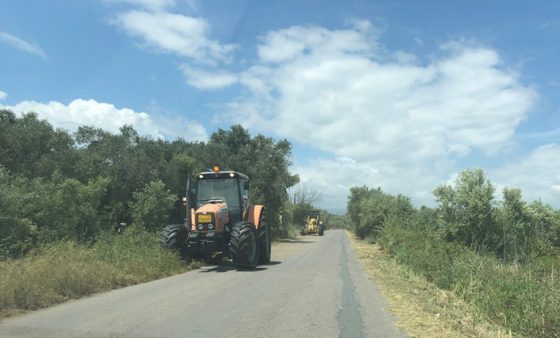 Εργασίες καθαρισμού της Π.Ε. Μεσσηνίας