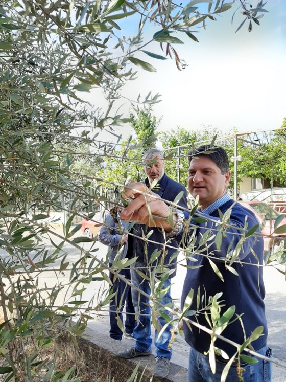 Δήμαρχος Μεσσήνης Γιώργος Αθανασόπουλος