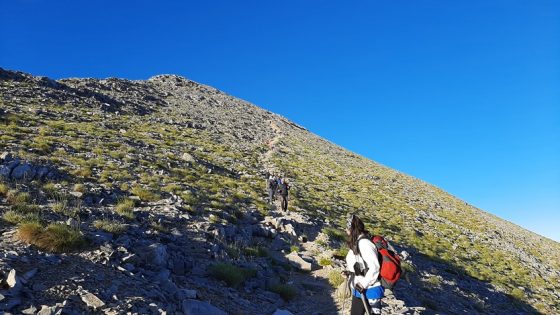 Ευκλής Καλαμάτας