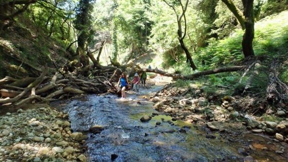 Δροσερή εξόρμηση των φυσιολατρών του Ευκλή Καλαμάτας στο Φαράγγι Αντρωνίου στην ορεινή Ηλεία