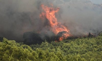 Φωτιά ξέσπασε στη περιοχή Νέδουσα Καλαμάτας 59