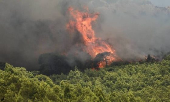 Φωτιά ξέσπασε στη περιοχή Νέδουσα Καλαμάτας