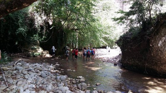 Δράσεις Ιουλίου για τον Ευκλή Καλαμάτας