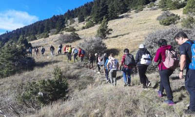 Πεζοπορική εξόρμηση στο μαγευτικό Μαίναλο οι φυσιολάτρες του Ευκλή Καλαμάτας 24