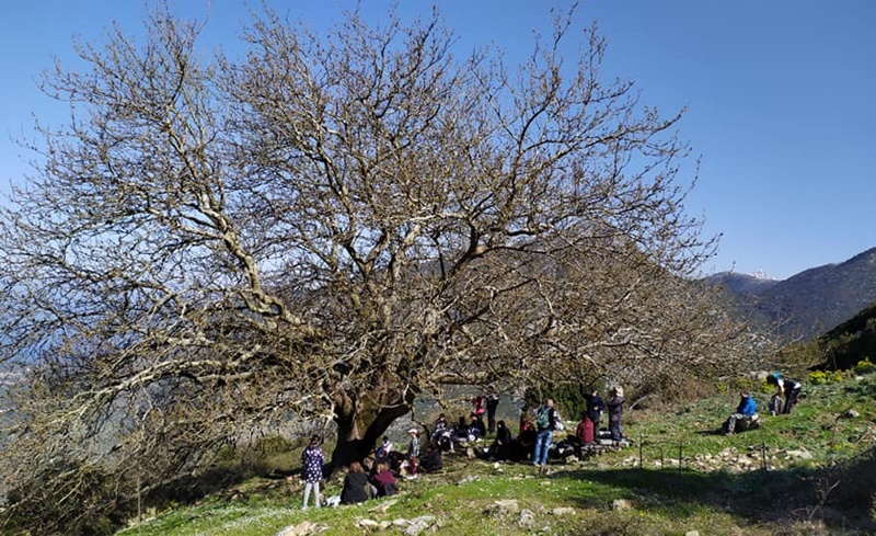 Επιστροφή στην κανονικότητα για τον Ευκλή και εξόρμηση στον Λαγκαδιανό Προφήτη Ηλία 32