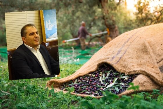 Επιστολή στην Ε.Ε. του Δημάρχου για το θέμα του ΠΟΠ Ελιά Καλαμάτας