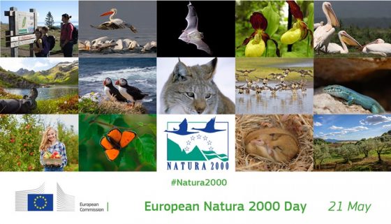 Στο φως το νέο μονοπάτι Μηναγιώτικο Natura 2000 13