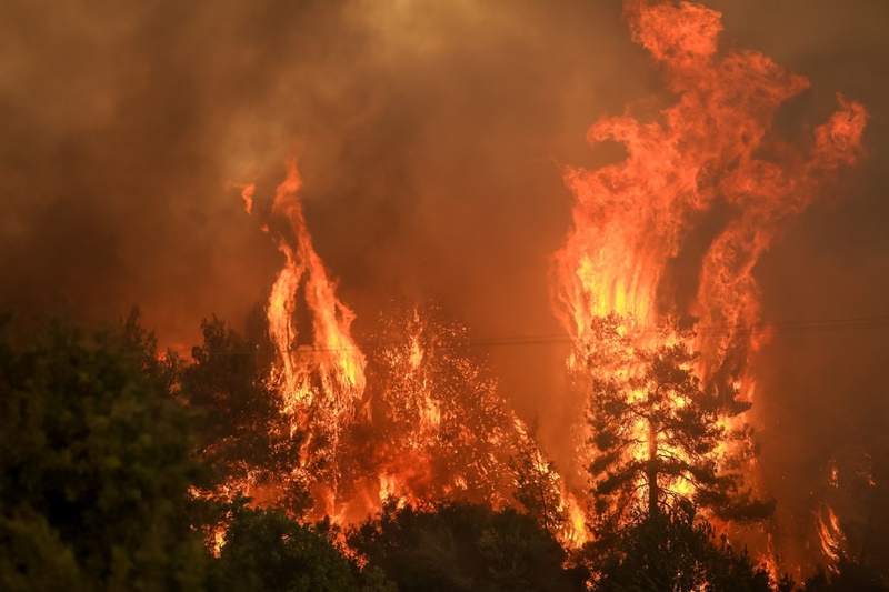 Σε δύο σημεία στην Ανατολική Μάνη επιχειρούν οι πυροσβεστικές δυνάμεις 1