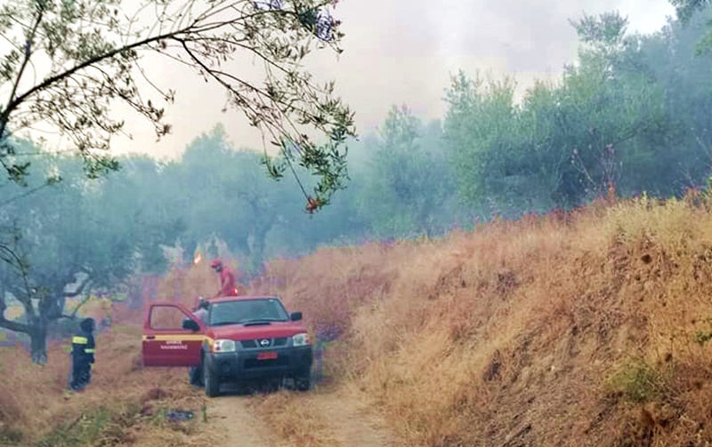 Συγκέντρωση ειδών πρώτης ανάγκης για τους πυρόπληκτους από τα ταξικά συνδικάτα της Μεσσηνίας 1