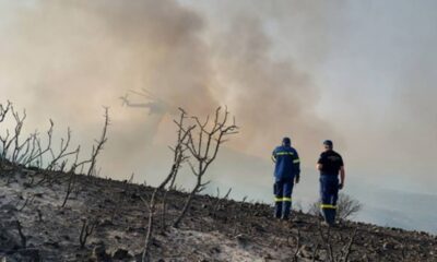 Μεσσηνία: Πυρκαγιά σε εξέλιξη ανάμεσα σε Βασιλίτσι – Χρυσοκελλαριά 32