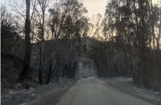 Δύσκολη η κατάσταση με τη φωτιά στη Μεσσηνία 13