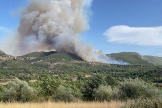 Φωτιά στη Μεγαλόπολη απειλεί σπίτια στον οικισμό Καλύβια ‑ Μήνυμα από το 112