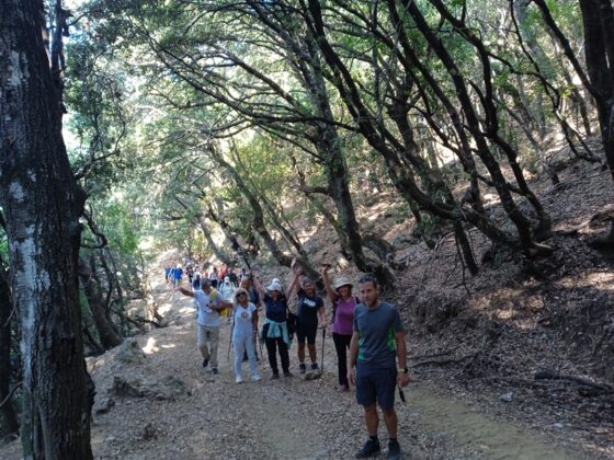 Ο Ευκλής Καλαμάτας εξόρμησε στο όρος Αιγάλεω 21