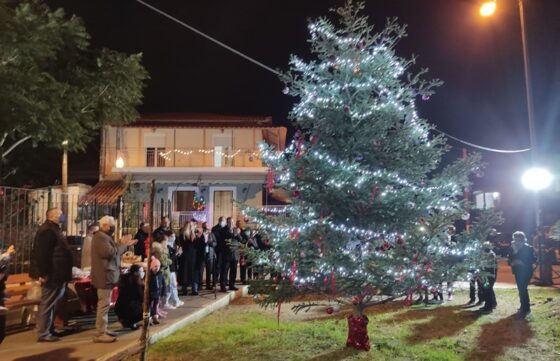 Φωταγωγήθηκε το Χριστουγεννιάτικο δέντρο στ’ Αλώνια και στο Φραγκοπήγαδο