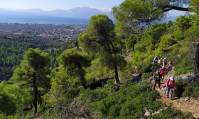 Οι φυσιολάτρες του Ευκλή Καλαμάτας περπατούν στο ''Μονοπάτι ψυχής της Ηρώς'' στην Εύβοια 12