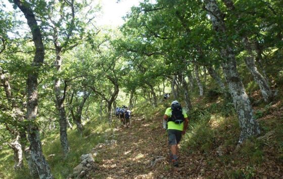 Ορεινή Πεζοπορία στο Σελλάς Μεσσηνίας και σήμανση 5 αιωνόβιων δέντρων της Ελληνικής Επανάστασης του 1821