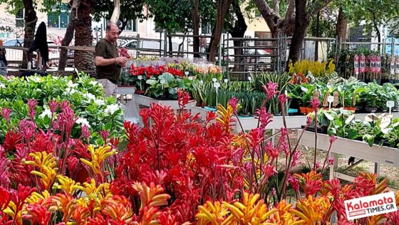 Η 9η Ανθοκομική έκθεση του Δήμου Καλαμάτας άνοιξε τις πύλες της 26