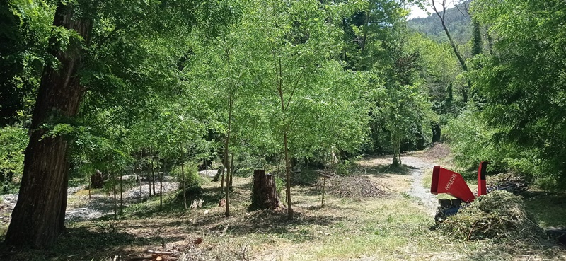 Σαββατοκύριακο δράσεων στις Κοινότητες Πηγών και Αλαγονίας στον Ταΰγετο 10