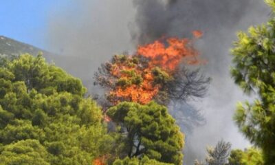 Μέγαρα: Πυροσβέστης με αναπνευστικά προβλήματα λόγω του καπνού  1