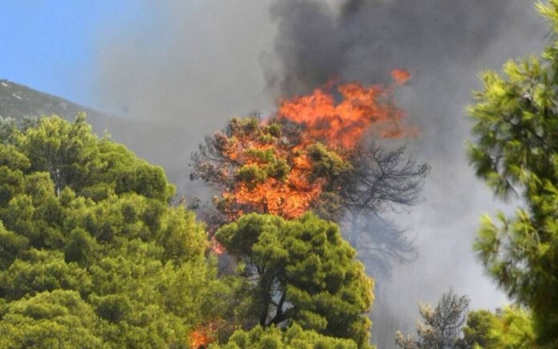 Μέγαρα: Πυροσβέστης με αναπνευστικά προβλήματα λόγω του καπνού  1