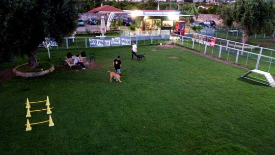 Dog Fun Park: Το hotpot των φιλόζωων 2