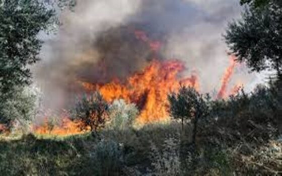 Στο Κατακάλι Κορινθίας μεγάλη πυρκαγιά