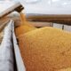 Η Ρωσία κάνει μπλόκο στα σιτηρά ‑ Πρόβλημα επιβίωσης για εκατομμύρια πολίτες σε όλο τον κόσμο 27