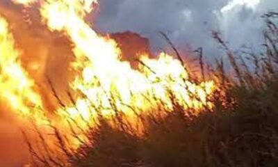 Μεγάλη φωτιά ξέσπασε στο Χιλιομόδι Κορινθίας σε αγροτοδασική έκταση 20