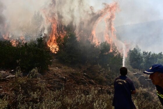 Αδιανόητη δήλωση από τον εμπρηστή της Μεσσηνίας ‑ «Με εξιτάρει η κινητικότητα της πυροσβεστικής»