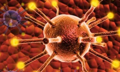 Επιστήμονες ανέπτυξαν χημειοθεραπεία ικανή να σκοτώσει όλους τους συμπαγείς καρκινικούς όγκους 10
