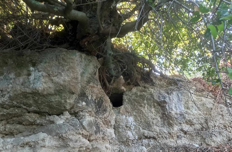 Μεσσηνία: Ανακαλύφθηκε κιβωτιόσχημος τάφος στους Κάτω Αμπελόκηπους 1