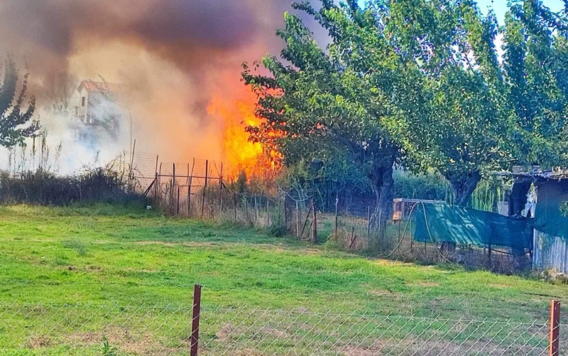 150 στρέμματα έκαψε η φωτά στην Ασπροπουλιά 9