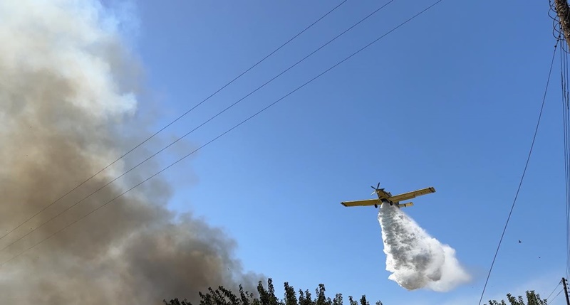 150 στρέμματα έκαψε η φωτά στην Ασπροπουλιά 12