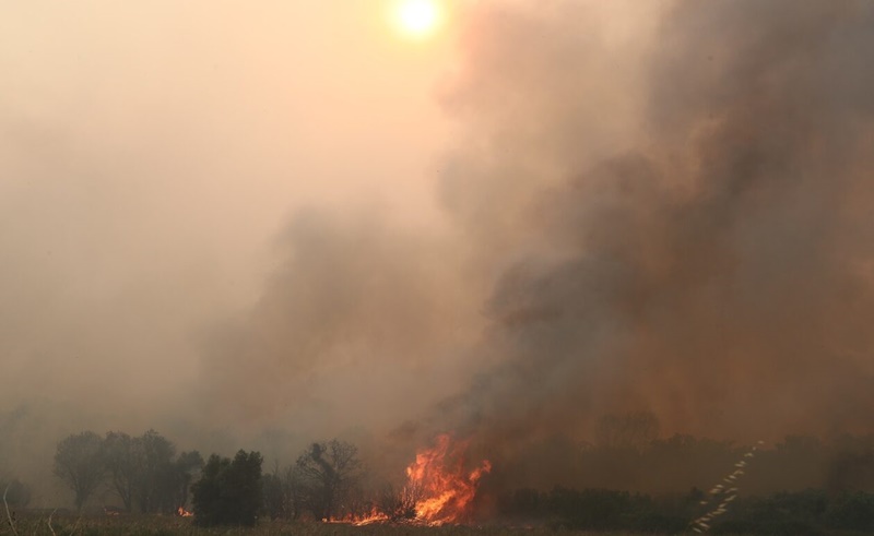 Meteo: Πάνω από 1.600.000 στρέμματα έχουν γίνει στάχτη – 270% αύξηση των καμένων εκτάσεων 7