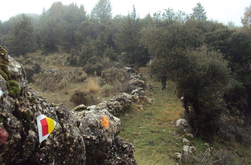 Ανοιξιάτικη εξόρμηση στο μαγευτικό Μαίναλο οι φυσιολάτρες του Ευκλή 5