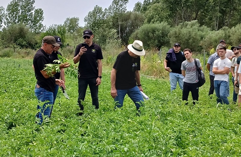 Field Day «Πατάτες για καλό σκοπό» στο Αγρόκτημα Καλαμάτας του Πανεπιστημίου Πελοποννήσου 5