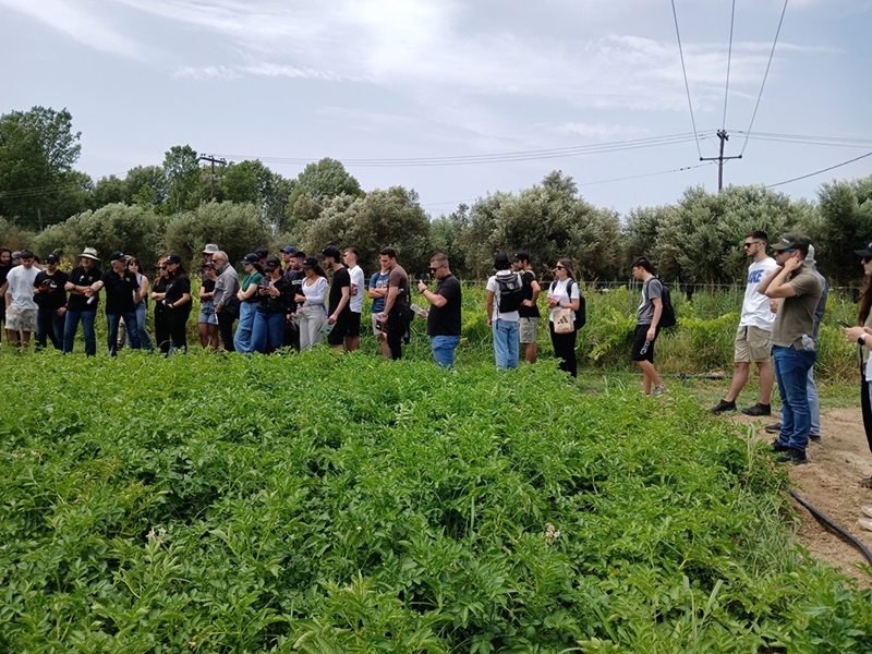 Field Day «Πατάτες για καλό σκοπό» στο Αγρόκτημα Καλαμάτας του Πανεπιστημίου Πελοποννήσου 7