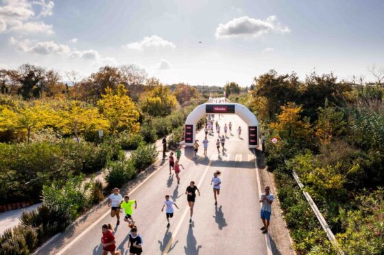 Μοναδικές υπαίθριες δράσεις για όλους στο Navarino Challenge 2024 14