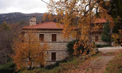 Πεζοπορία από το Ναό του Επικούριου Απόλλωνα στην Αμπελιώνα Μεσσηνίας – «Μονοπάτι ζωής» 76