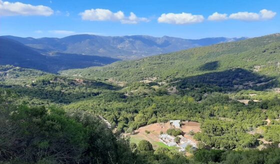 Οι φυσιολάτρες του Ευκλή γνωρίζουν περπατώντας χωριά της Κεντρικής Μεσσηνίας