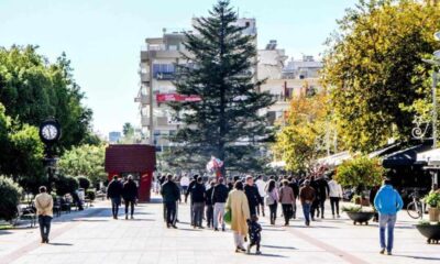 Φυσικό έλατο 15 μέτρων κοσμεί την Κεντρική Πλατεία Καλαμάτας 81