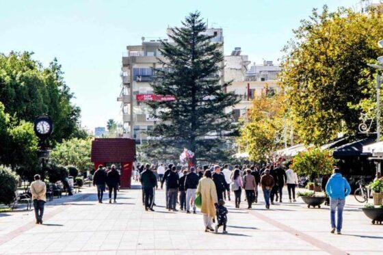 Φυσικό έλατο 15 μέτρων κοσμεί την Κεντρική Πλατεία Καλαμάτας